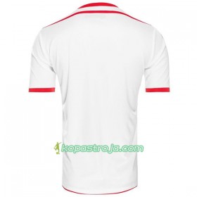 Billiga Fotbollströjor Tunesien VM 2018 Hemma tröja